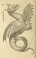 An illustration from Vylssis Aldrovandi ... Serpentvm, et draconv historiae libri dvo : Bartholomaevs Ambrosinvs ... opus concinnauit ... : cum indice memorabilium, nec non uariar linguar locupletissimo (1640)
