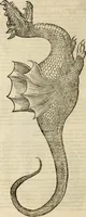 An illustration from Vylssis Aldrovandi ... Serpentvm, et draconv historiae libri dvo : Bartholomaevs Ambrosinvs ... opus concinnauit ... : cum indice memorabilium, nec non uariar linguar locupletissimo (1640)