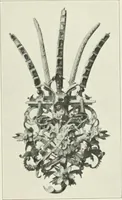 Picture 27 of 124 from The Waddesdon bequest : catalog of the works of art bequeathed to the British Museum by Baron Ferdinand Rothschild, 1898 (1902), leaf 112