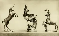 Picture 84 of 124 from The Waddesdon bequest : catalog of the works of art bequeathed to the British Museum by Baron Ferdinand Rothschild, 1898 (1902), leaf 216