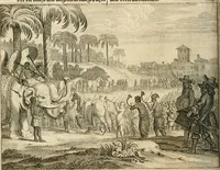 Picture 44 of 109 from Wahrhaftige ausführliche beschreibung der berühmten ostindischen kusten Malabar und Coromandel, als auch der insel Zeylon: samt dero angräntzenden und untergehörigen reichen, fürstentühmen, ländern, städten ... so wol auch der merkwürdigsten kriegshändel, belägerungen, feld- und seeschlachten, sonderlich zwischen den Portugesen und Holländern, handel-und kaufmannschaften: durchgehends verzieret mit neuen landkahrten und abbildungen der vornehmsten städte, festungen, trachten, thiere, früchte, &c. so in India selbst nach dem leben gezeichnet, und folgends mit fleiss zu kupfer gebracht: benebst einer umständlichen und gründlichen entdeckung der abgötterey der ost-indischen heyden, Malabaren, Benjanen, Gentiven, Bramines &c. .. (1672), leaf 355