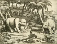 An illustration from Wahrhaftige ausführliche beschreibung der berühmten ostindischen kusten Malabar und Coromandel, als auch der insel Zeylon: samt dero angräntzenden und untergehörigen reichen, fürstentühmen, ländern, städten ... so wol auch der merkwürdigsten kriegshändel, belägerungen, feld- und seeschlachten, sonderlich zwischen den Portugesen und Holländern, handel-und kaufmannschaften: durchgehends verzieret mit neuen landkahrten und abbildungen der vornehmsten städte, festungen, trachten, thiere, früchte, &c. so in India selbst nach dem leben gezeichnet, und folgends mit fleiss zu kupfer gebracht: benebst einer umständlichen und gründlichen entdeckung der abgötterey der ost-indischen heyden, Malabaren, Benjanen, Gentiven, Bramines &c. .. (1672)