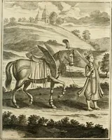 An illustration from Wahrhaftige ausführliche beschreibung der berühmten ostindischen kusten Malabar und Coromandel, als auch der insel Zeylon: samt dero angräntzenden und untergehörigen reichen, fürstentühmen, ländern, städten ... so wol auch der merkwürdigsten kriegshändel, belägerungen, feld- und seeschlachten, sonderlich zwischen den Portugesen und Holländern, handel-und kaufmannschaften: durchgehends verzieret mit neuen landkahrten und abbildungen der vornehmsten städte, festungen, trachten, thiere, früchte, &c. so in India selbst nach dem leben gezeichnet, und folgends mit fleiss zu kupfer gebracht: benebst einer umständlichen und gründlichen entdeckung der abgötterey der ost-indischen heyden, Malabaren, Benjanen, Gentiven, Bramines &c. .. (1672)