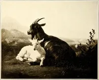 An illustration from The Wallace Collection at Hertford House (1904)