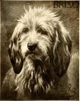 An illustration from The Wallace Collection at Hertford House (1904)