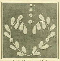 Picture 12 of 18 from Wallachian embroidery (1908), leaf 15
