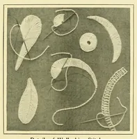 An illustration from Wallachian embroidery (1908)