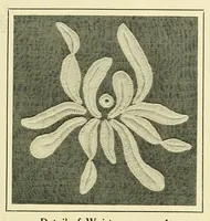 Picture 6 of 18 from Wallachian embroidery (1908), leaf 9
