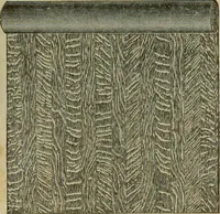 An illustration from Wall paper. (1900)