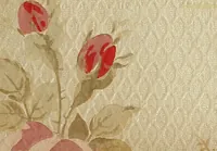 An illustration from Wall paper. (1900)