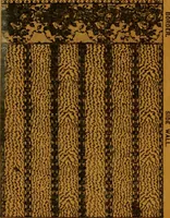 Picture 127 of 134 from Wall paper. (1900), leaf 163