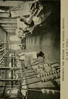 Picture 7 of 23 from Wall paper, its origin, development and manufacture (1922), leaf 49