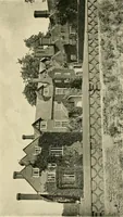 An illustration from Wall and water gardens (1902)