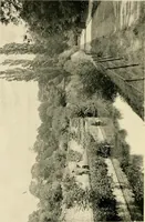 An illustration from Wall and water gardens (1902)