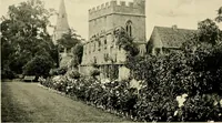 An illustration from Wall and water gardens (1902)