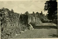 An illustration from Wall and water gardens (1902)