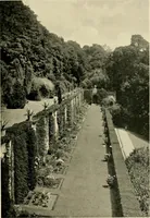 An illustration from Wall and water gardens (1902)