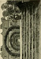 An illustration from Wall and water gardens (1902)