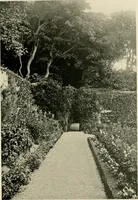 An illustration from Wall and water gardens (1902)