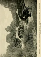 Picture 61 of 134 from Wall and water gardens (1902), leaf 141