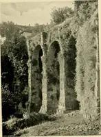 An illustration from Wall and water gardens (1902)
