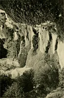 An illustration from Wall and water gardens (1902)
