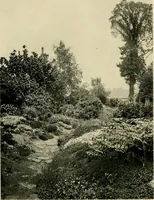 An illustration from Wall and water gardens (1902)