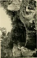 An illustration from Wall and water gardens (1902)