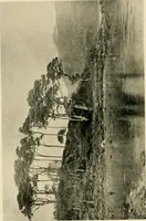 An illustration from Wall and water gardens (1902)