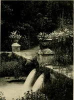 An illustration from Wall and water gardens (1902)