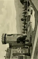 An illustration from Wall and water gardens (1902)