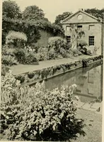 An illustration from Wall and water gardens (1902)
