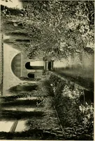 An illustration from Wall and water gardens (1902)