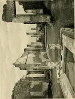 An illustration from Wall and water gardens (1902)