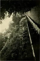 An illustration from Wall and water gardens (1902)