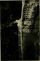 An illustration from Wall and water gardens (1902)