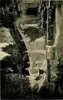 An illustration from Wall and water gardens (1902)