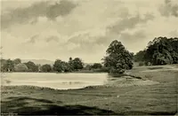 An illustration from Wall and water gardens (1902)