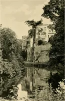 An illustration from Wall and water gardens (1902)