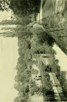 An illustration from Wall and water gardens (1901)
