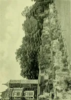An illustration from Wall and water gardens (1901)