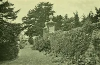 An illustration from Wall and water gardens (1901)