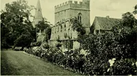 Picture 50 of 137 from Wall and water gardens (1901), leaf 121