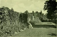 Picture 51 of 137 from Wall and water gardens (1901), leaf 124