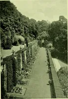Picture 53 of 137 from Wall and water gardens (1901), leaf 128