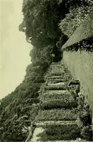 Picture 54 of 137 from Wall and water gardens (1901), leaf 129