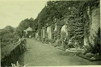 Picture 55 of 137 from Wall and water gardens (1901), leaf 130