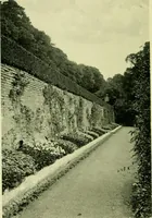 Picture 56 of 137 from Wall and water gardens (1901), leaf 131