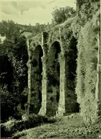 Picture 61 of 137 from Wall and water gardens (1901), leaf 142