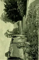 An illustration from Wall and water gardens (1901)